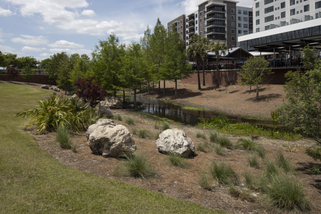 Stormwater basin and grasses at Cascades Park