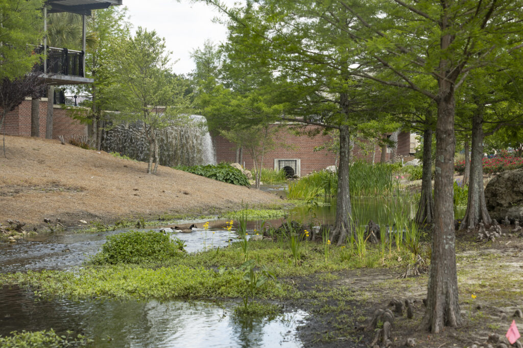 Stormwater basin at Cascades Park