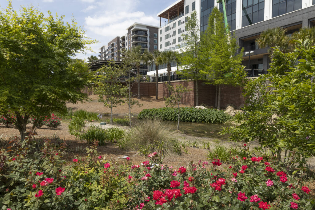 Landscaping and stream at Cascades Park