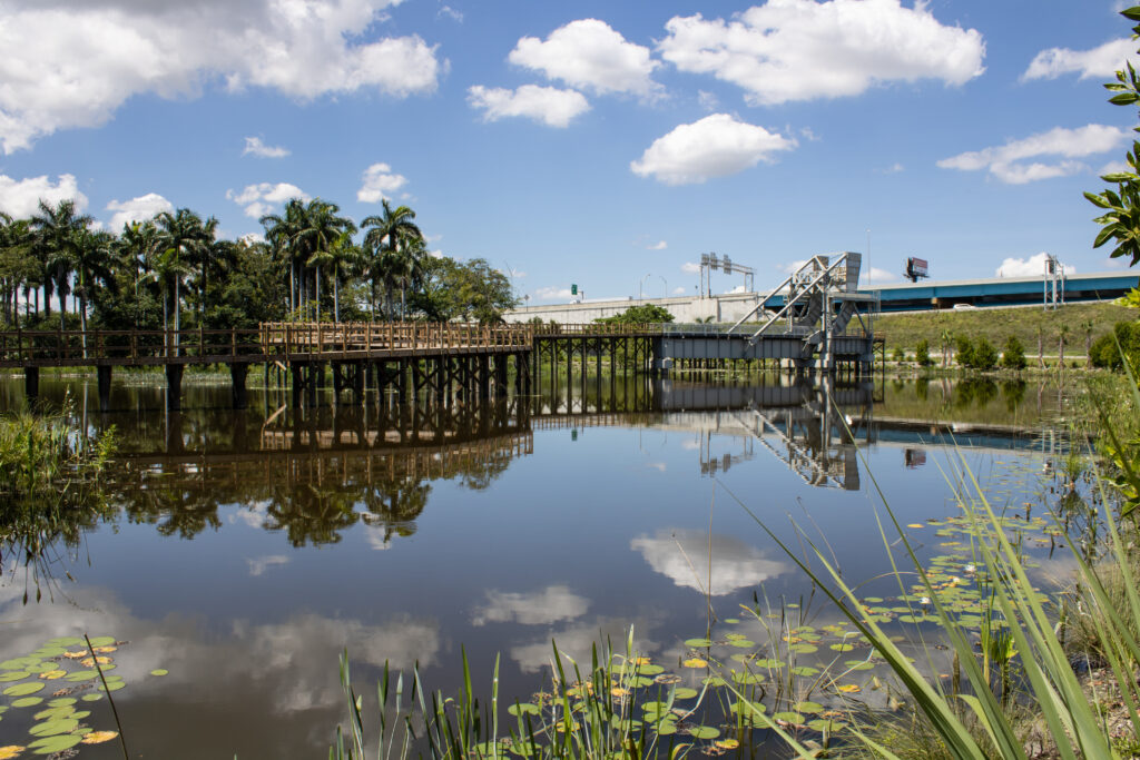 River Oaks Preserve landscape view