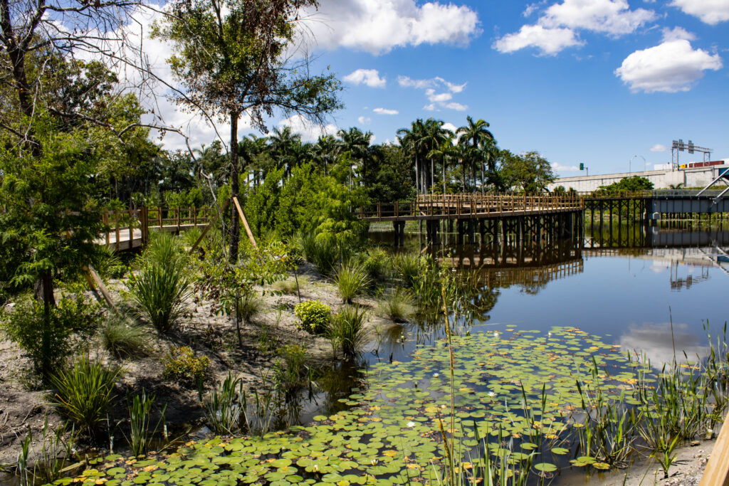 River Oaks Preserve wetland