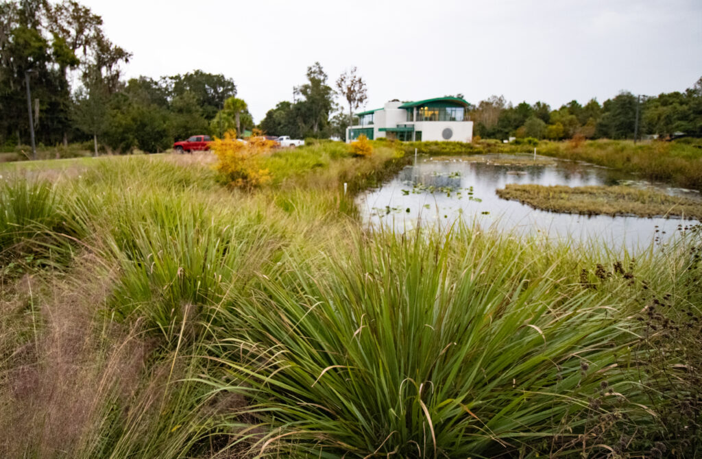 Stetson Aquatic Center wetland and grasses