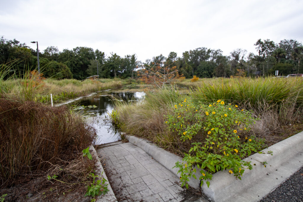 Stetson Aquatic Center wetland drainage