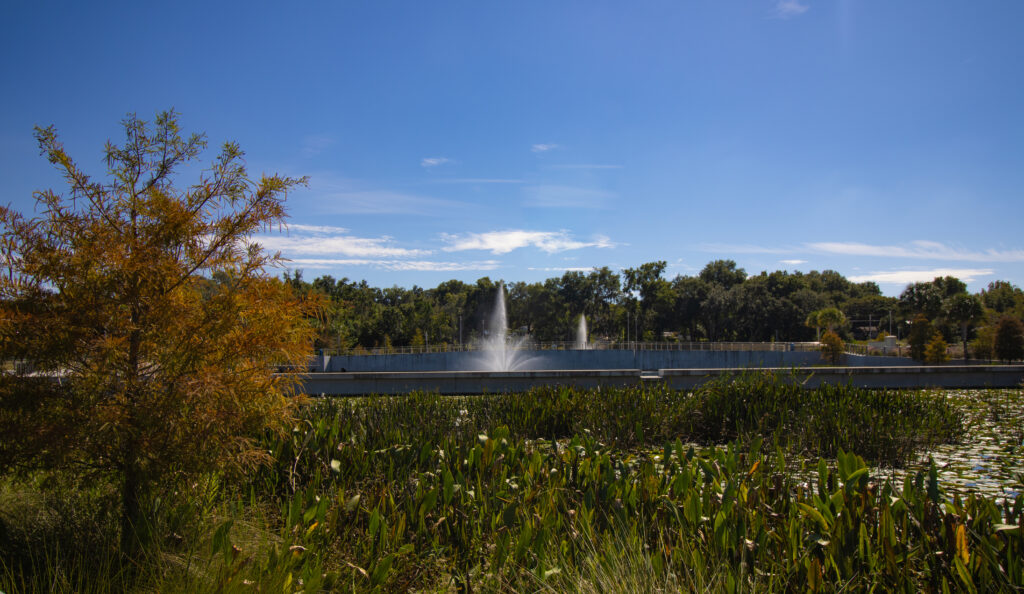 Victory Pointe Fountain with Vegetation