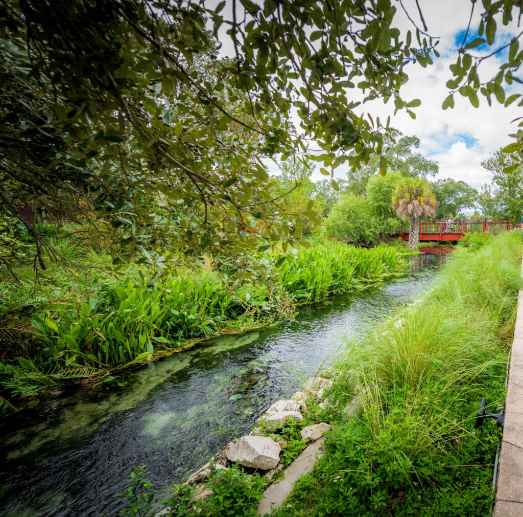 Stream, vegetation and bridge at Ulele Spring Water Works Park