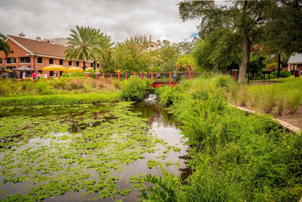 Wetland at Ulele Spring Water Works Park