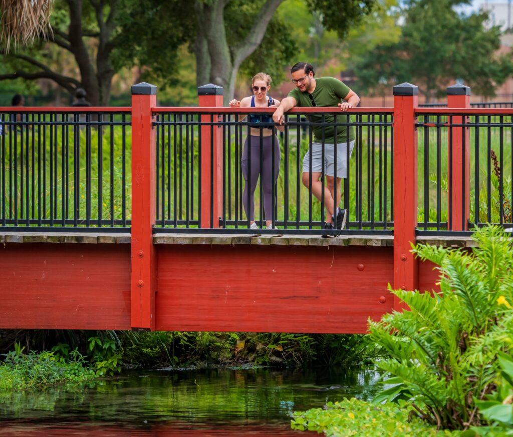 People on bridge viewing wildlife