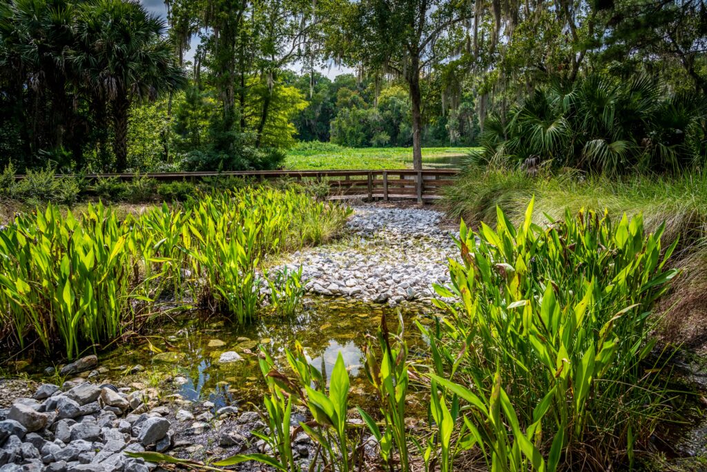 Stormwater at Wilson’s Landing Park