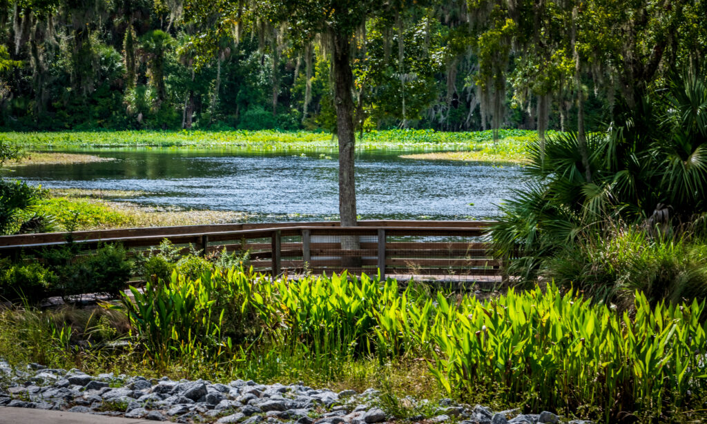 Walkway over wetland at Wilson’s Landing Park