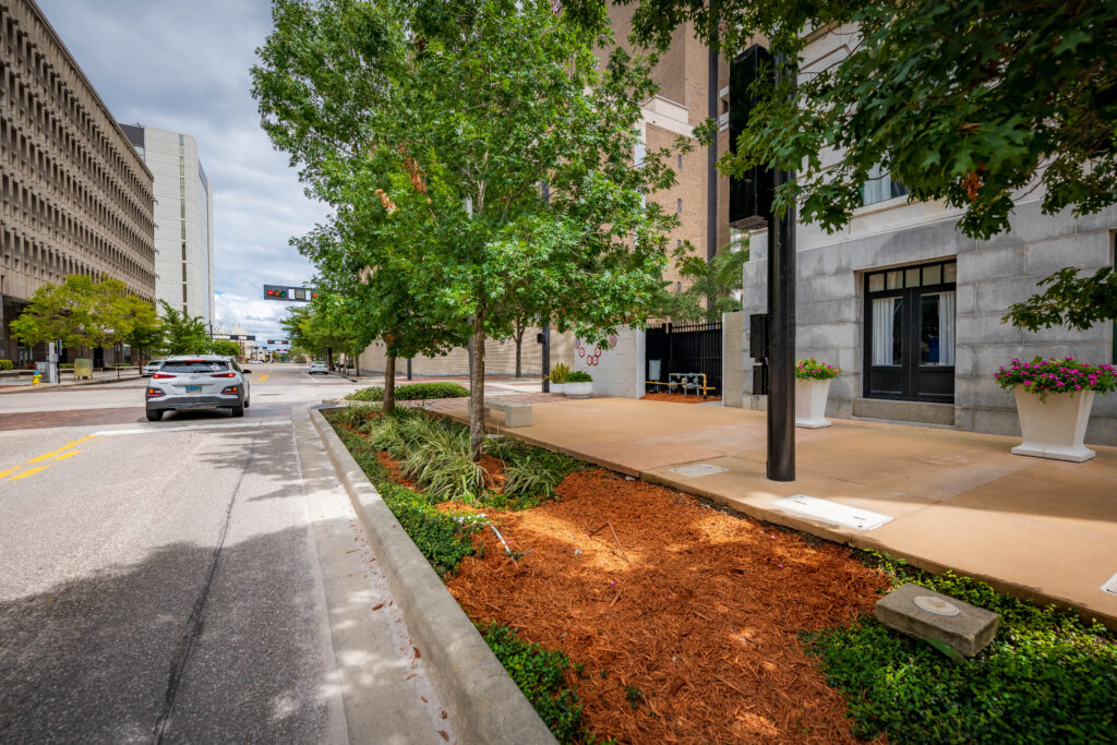 Streetscape along Zack St in Downtown Tampa