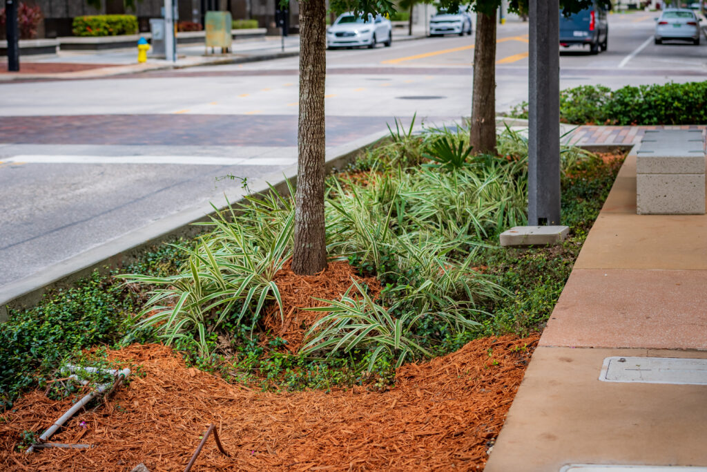 Streetscape and walkway at Zack St in Downtown Tampa