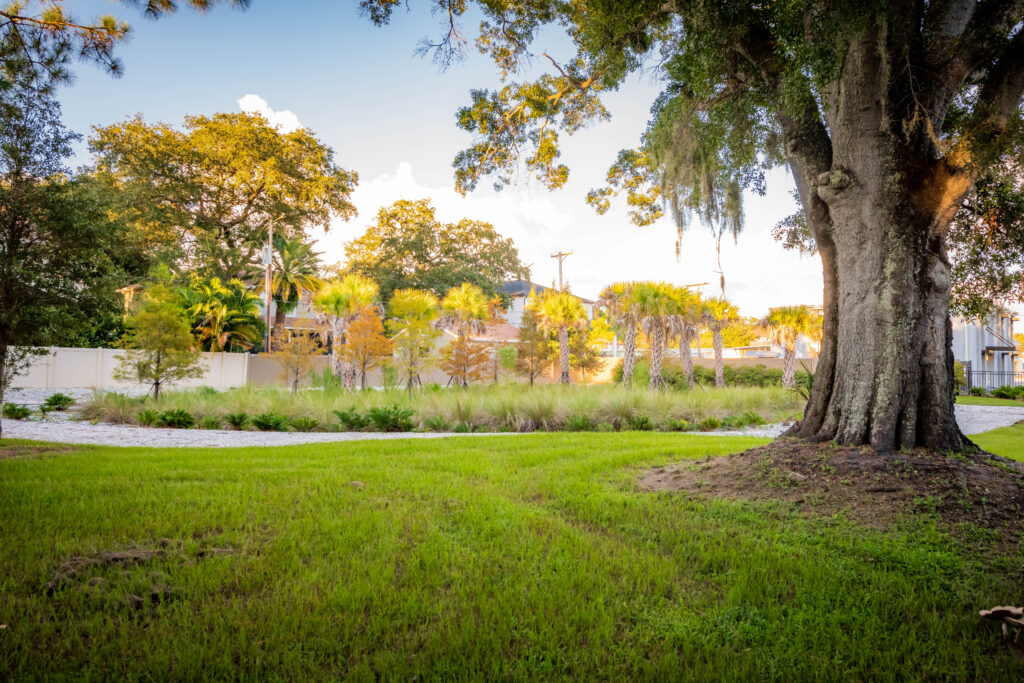 Landscape view of at El Prado Stormwater Garden