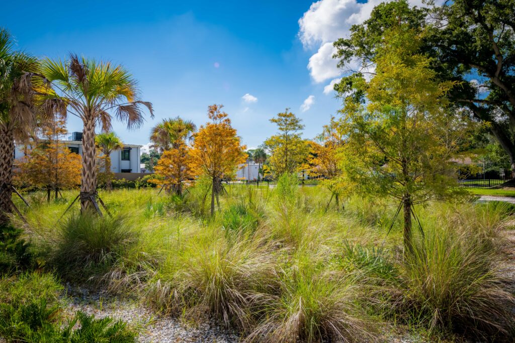 Trees and vegetation at El Prado Stormwater Garden