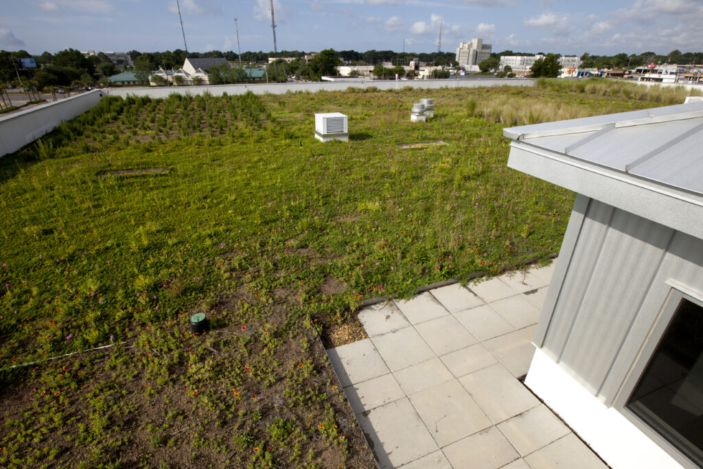 Green roof from above at Escambia County Office Complex