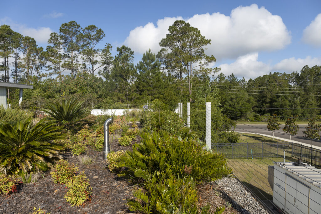 GRU green roof