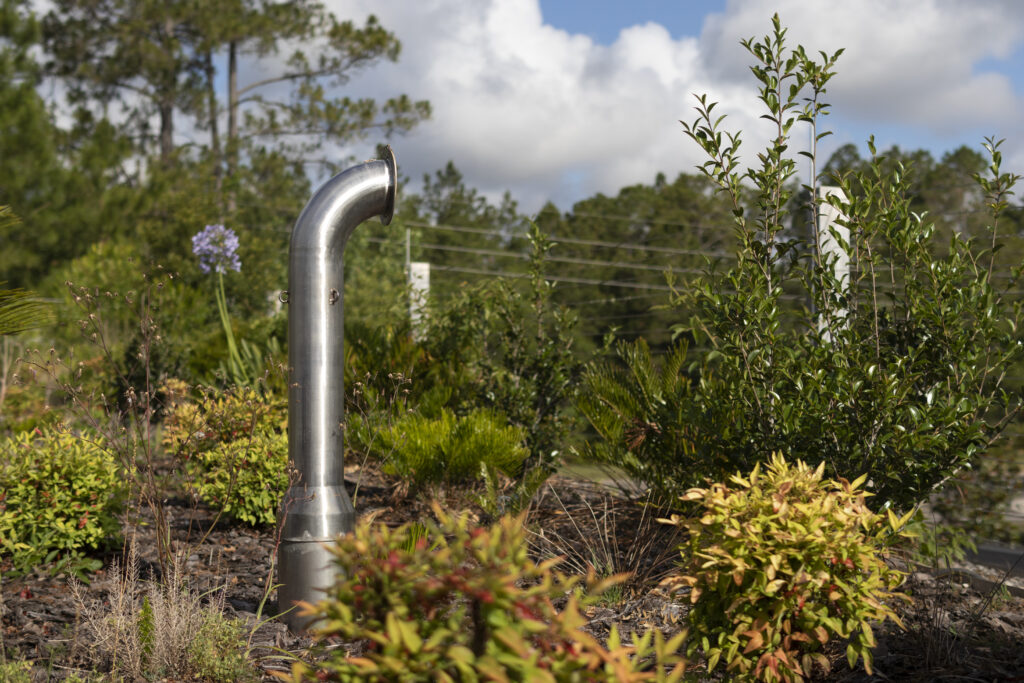 Vegetation at GRU green roof