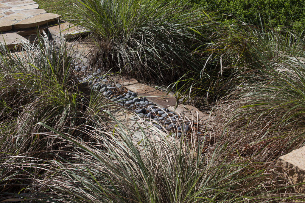 Downstream drainage rocks and grasses at UF Rain Gardens