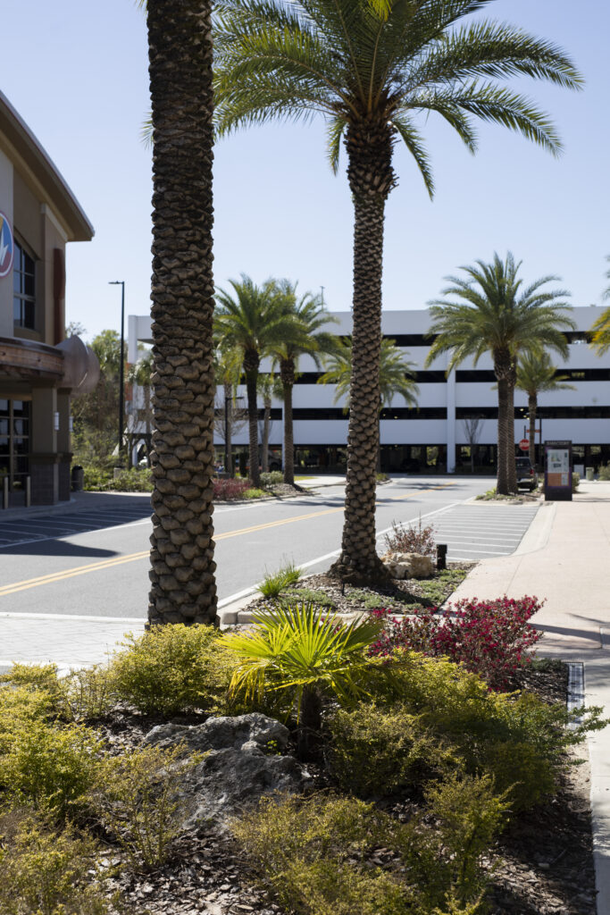 Streetscape at Butler Plaza