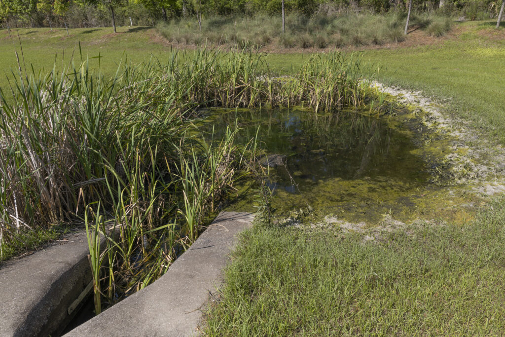 Stormwater drainage at Butler Plaza