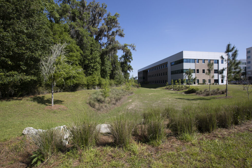 Swale at Butler Plaza