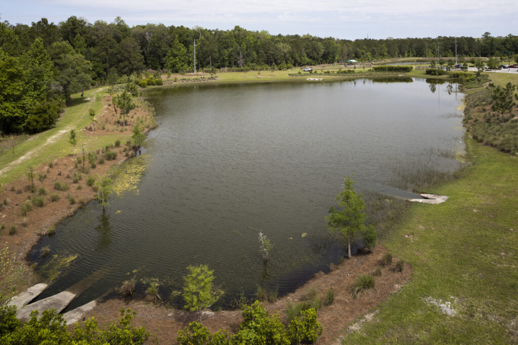 Wetland at Butler Plaza