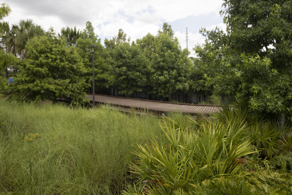 Boardwalk and vegetation at Kissimmee Lakefront Park