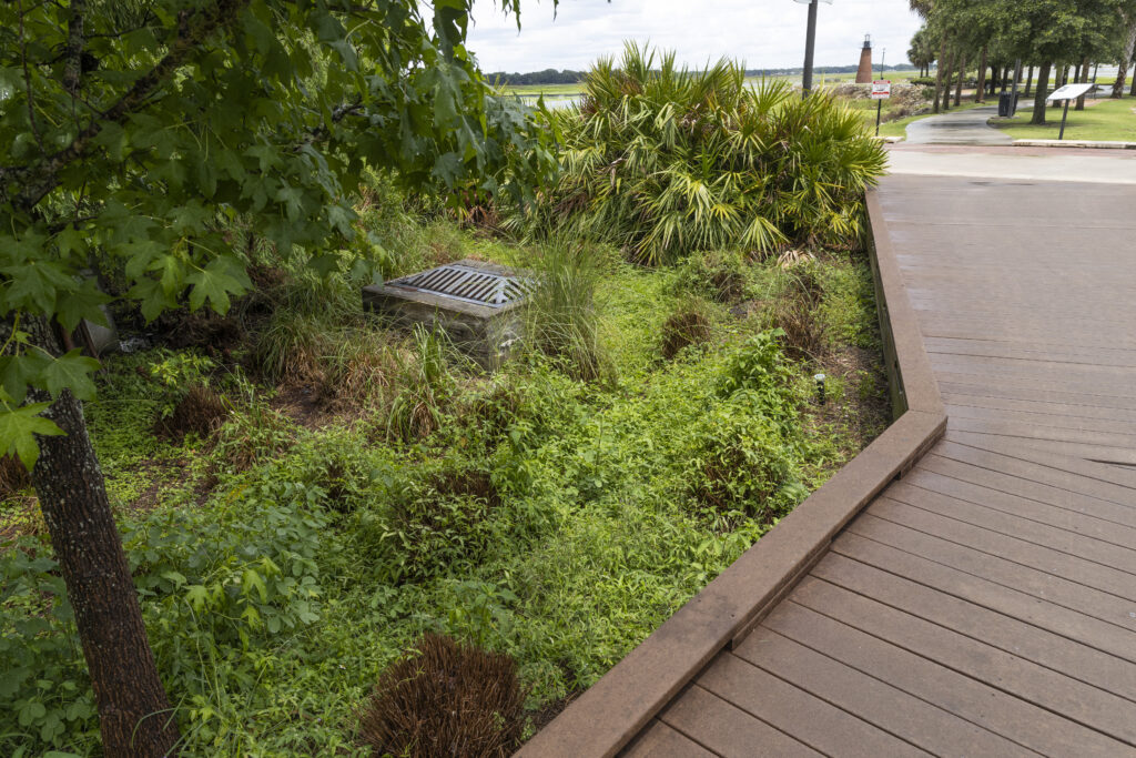 Stormwater basin and boardwalk