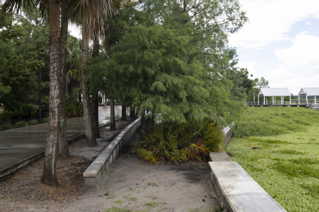 Curb cut and vegetation at Kissimmee Lakefront Park