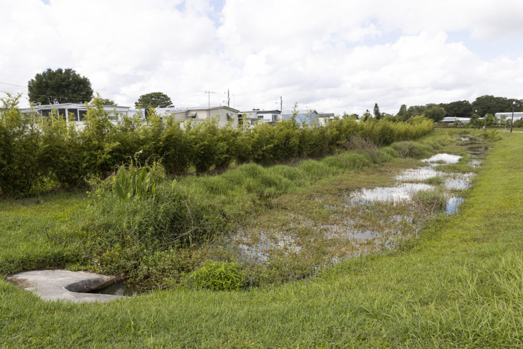 Stormwater swale at Tavares Ecological Park