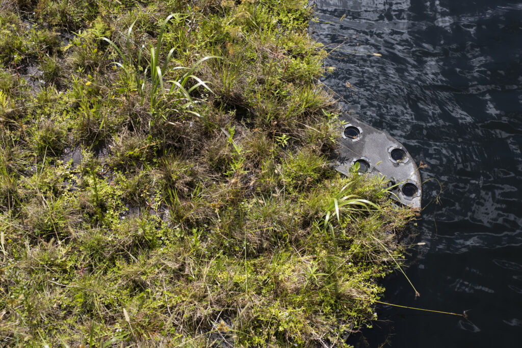 Floating grass plugs at Tavares Ecological Park