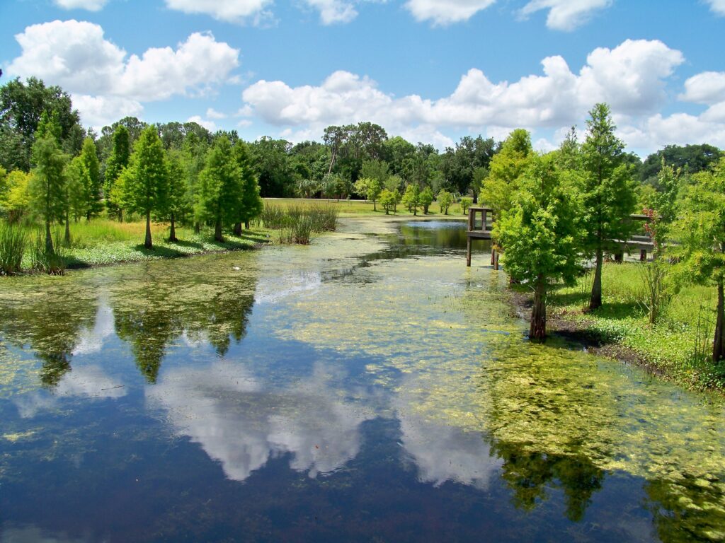 Lake and vegetation at South Lake Howard Nature Park