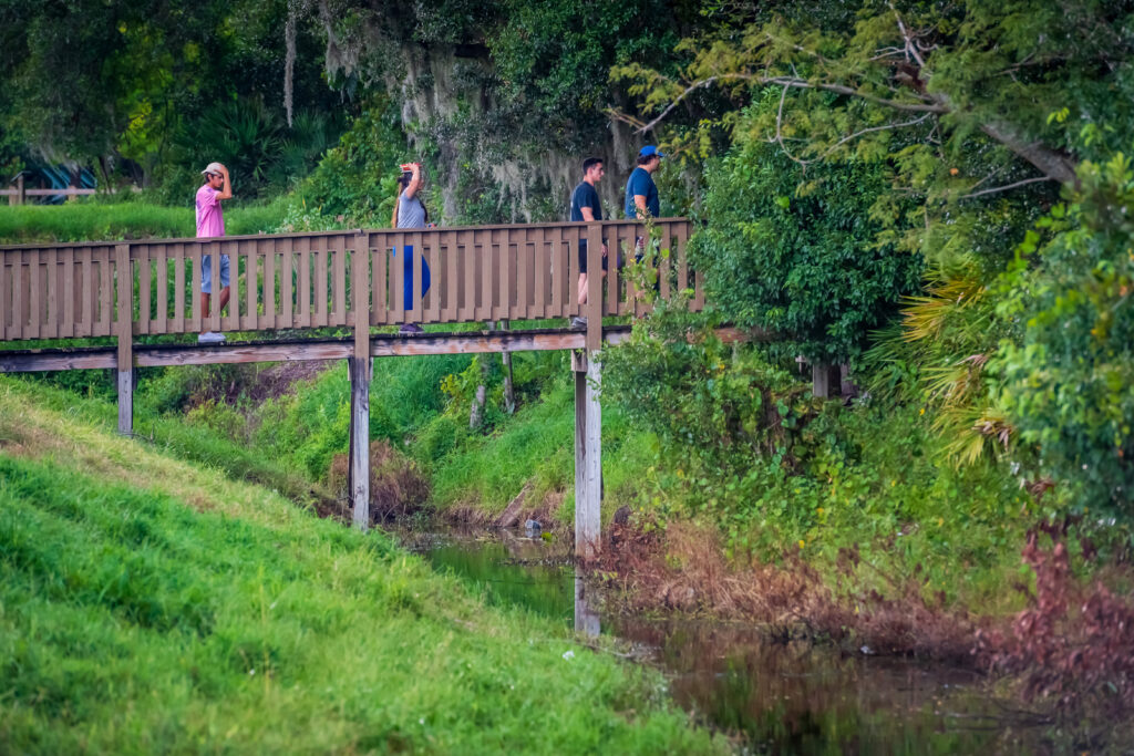 People walking along boardwalk in Barnett Park