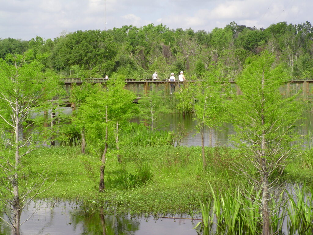 People on boardwalk at South Lake Howard Nature Park