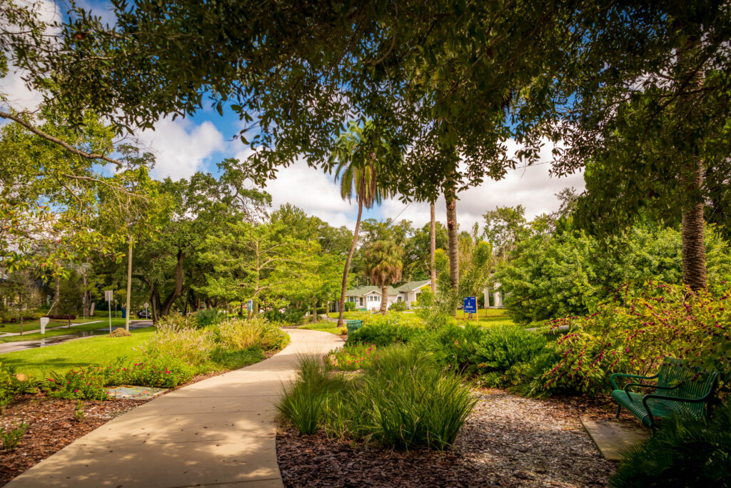 Sidewalk and bench at Ridgewood Park Butterfly Garden