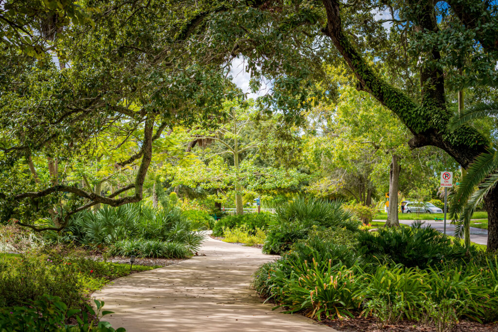 Ridgewood Park Butterfly Garden landscape view