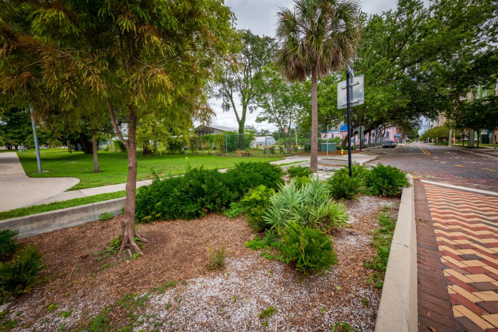 Streetscape at Scott Street