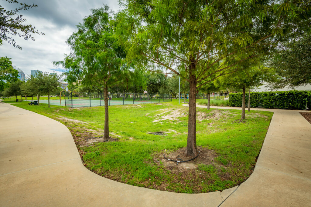 Stormwater drainage and walkway at Scott Street