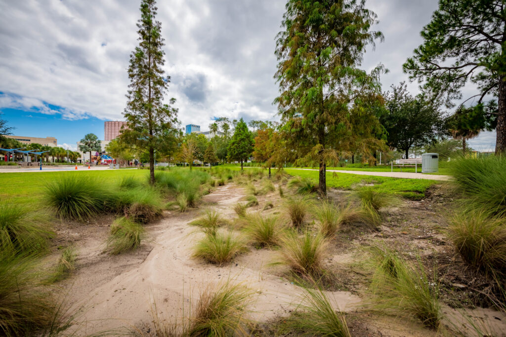 Stormwater drainage at Scott Street