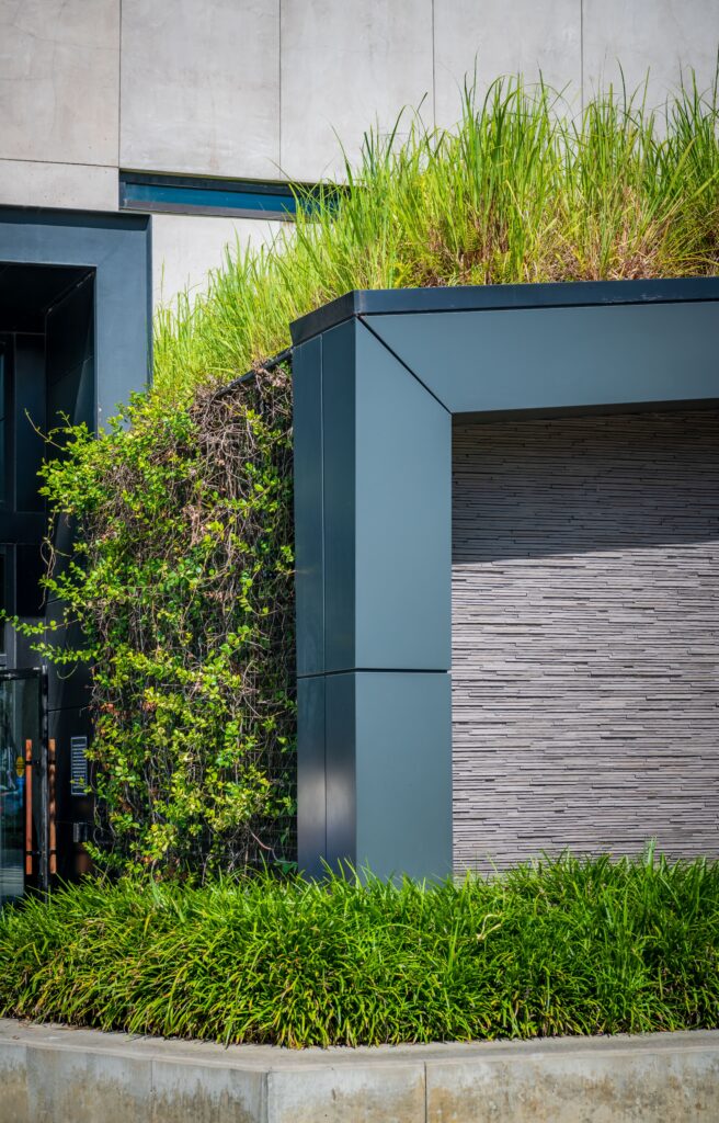 Green wall at Starbucks Disney Springs