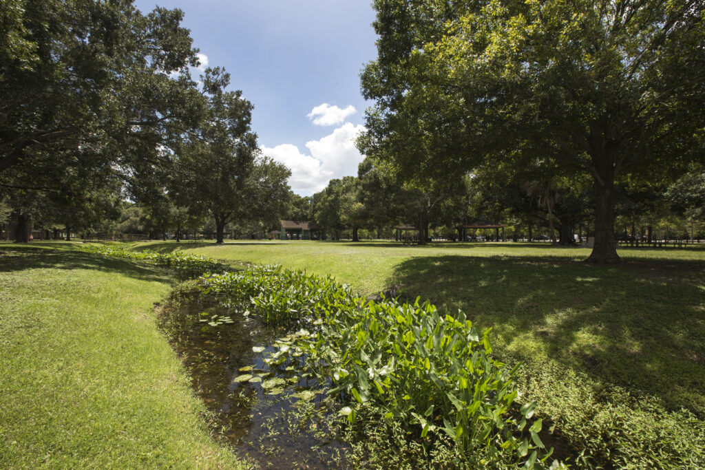 Stormwater and swale at Al Lopez Park