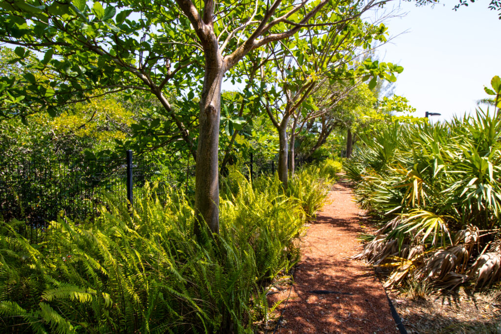 Pathway at PNC Bank in Fort Lauderdale