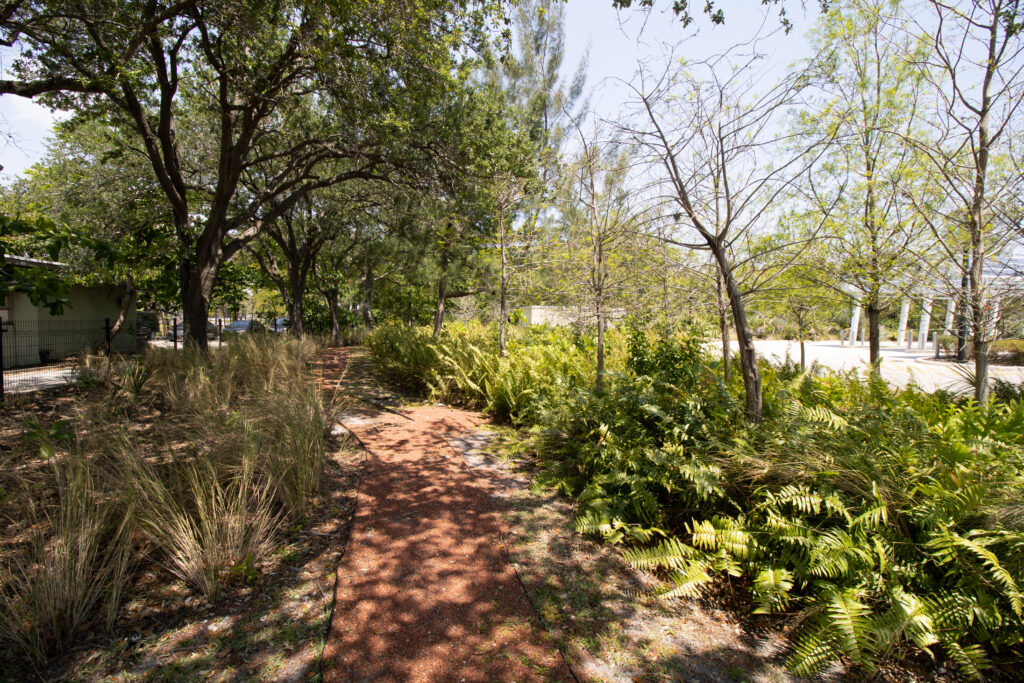 Pathway and vegetation at PNC Bank