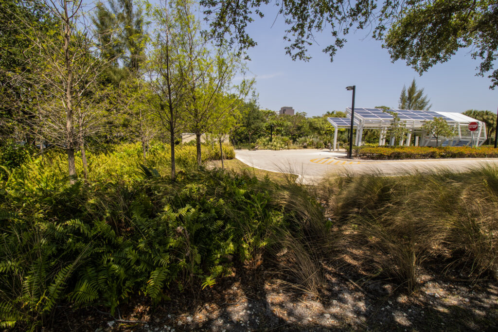 Vegetation and solar roof at PNC Bank