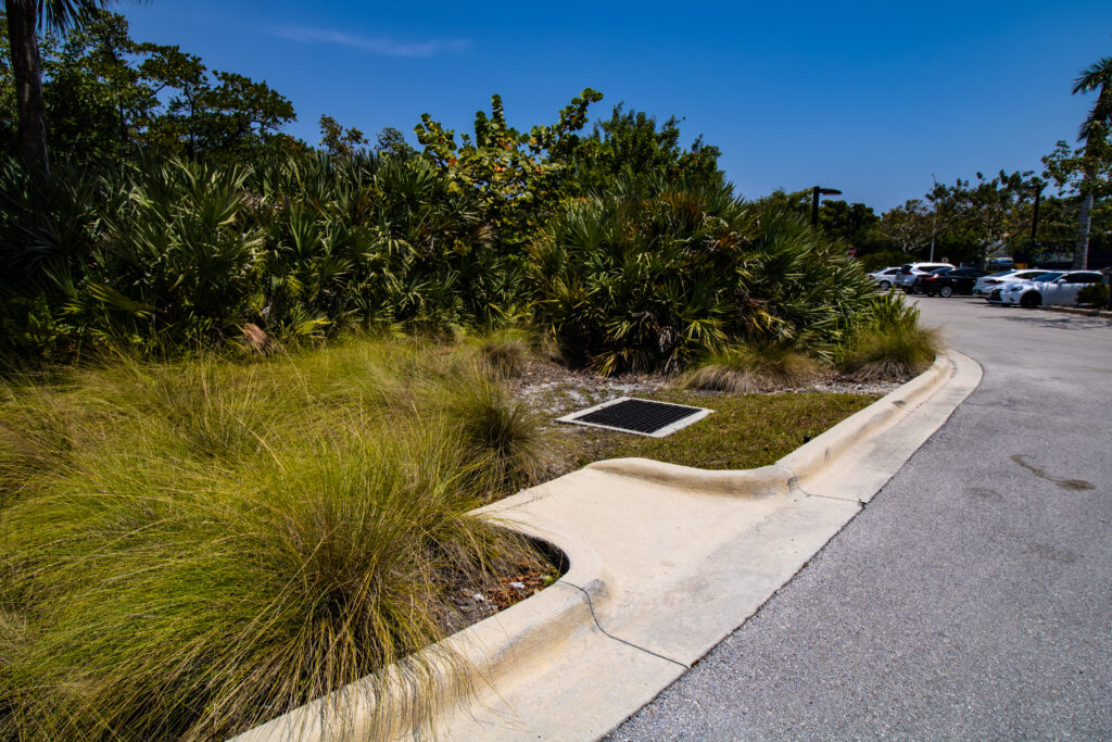 Curb cut and drainage at PNC Bank