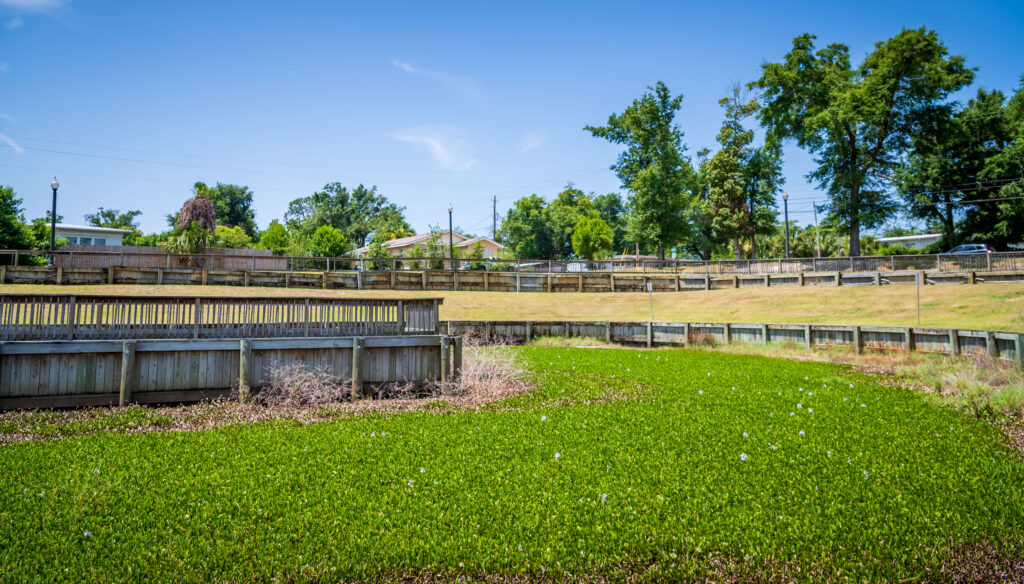 Overlook and stormwater pond at Kenneth R Hammons Park