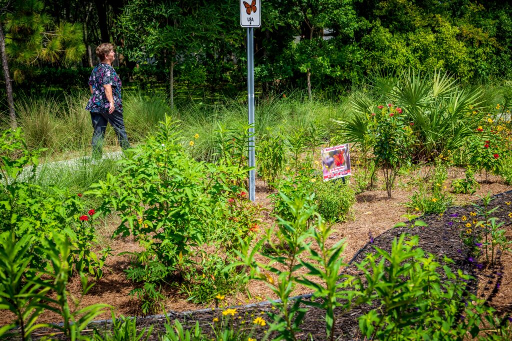 Butterfly garden at Reiter Park